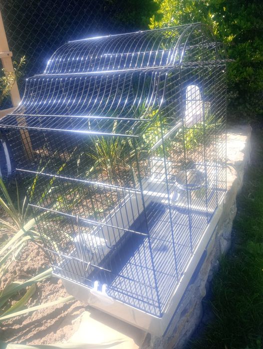 Coliviei pentru papagalii