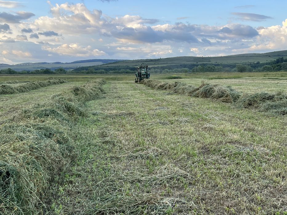 Baloti Lucerna Baloti rotunzi