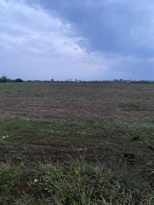 Teren de vanzare Balotesti - 613 mp