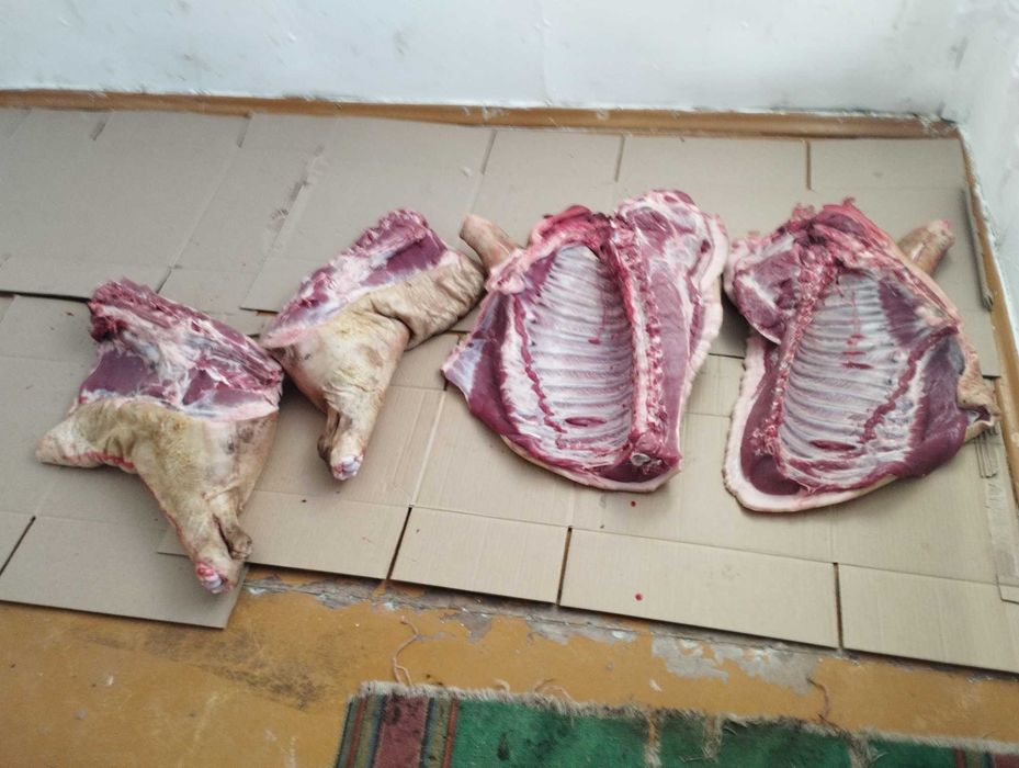 продам мясо свинины домашнее