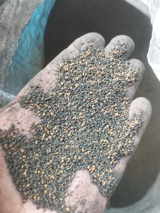 Жонышка урык кливер