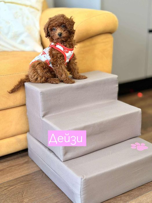 Продавам стълби за домашни любимци