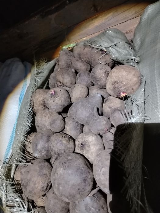 Продам едовую марковь и свёклу.