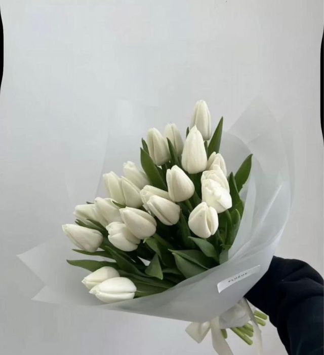 Цветы в розницу тюльпаны свежие