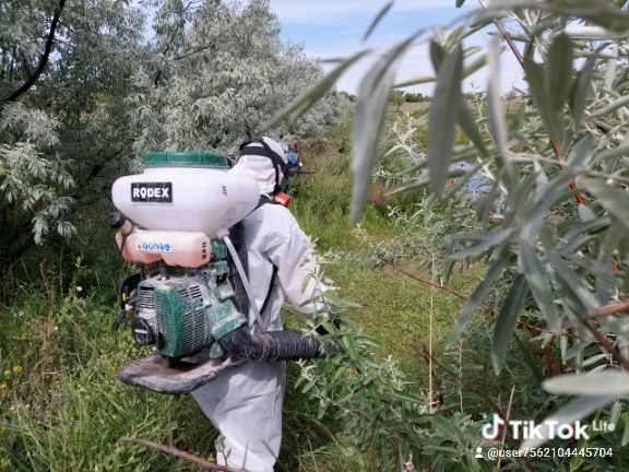 Дезинфекции, Дератизация