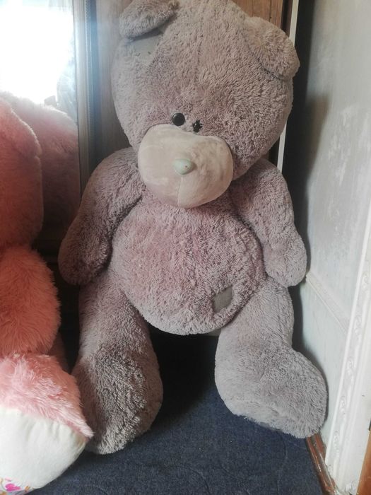 Teddy bear va yumshoq ayiqchalar sotiladi