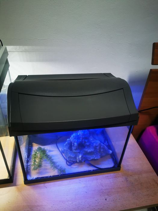 Vând acvariu Juwel Primo60 și Tetra complet echipate
