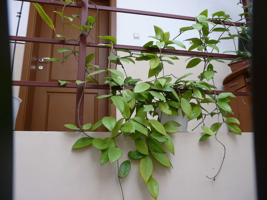 Panasonic Lumix FZ - 18