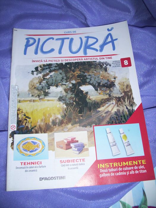 Cursuri de pictură de la D Augustini