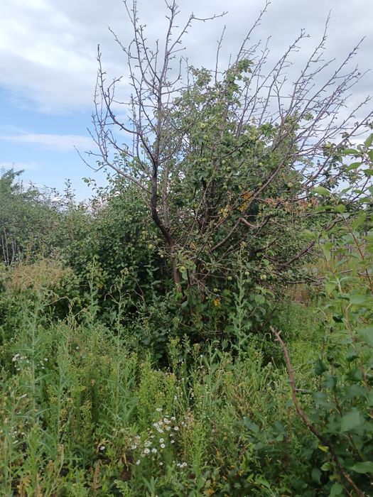 Продам дачу Со Дархан рассмотрим рассрочку