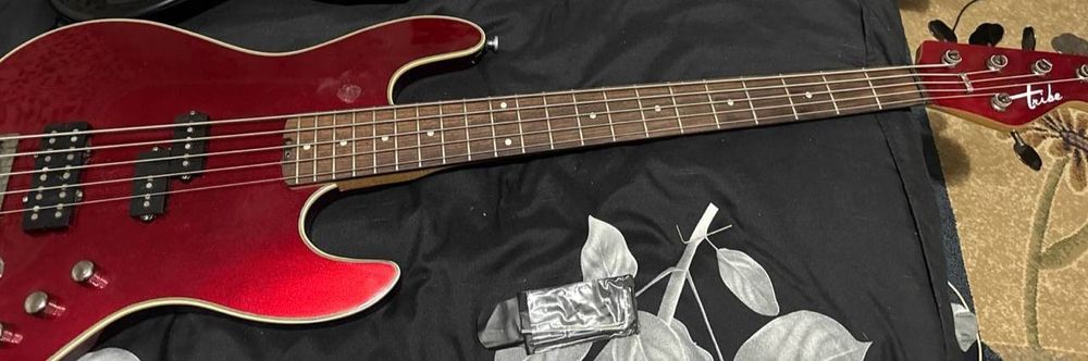 TRIBE SF 5 басс гитара