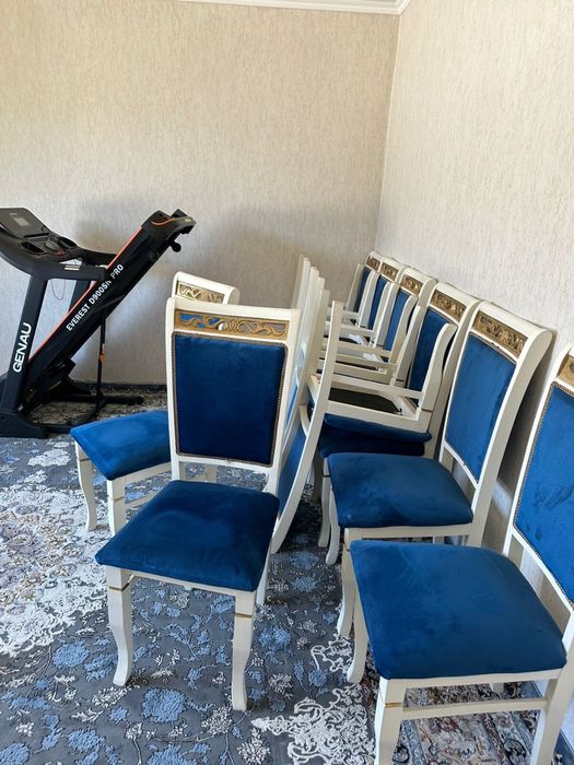 Новые 12 стульев из вяза,
