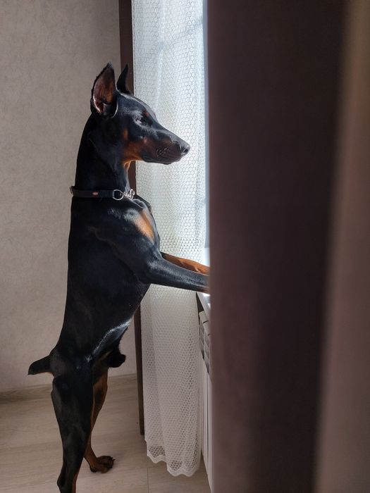 Кабель для вязки