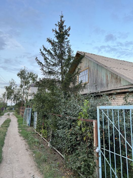 Дача в городе. Телецентр!