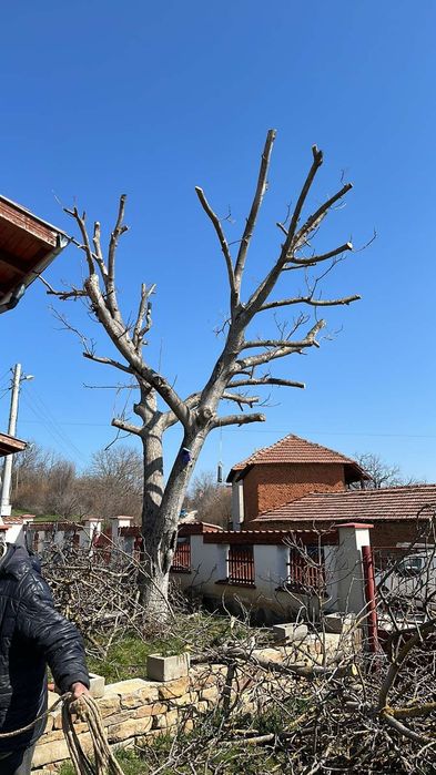 Рязане на дърва за огрев град Луковит