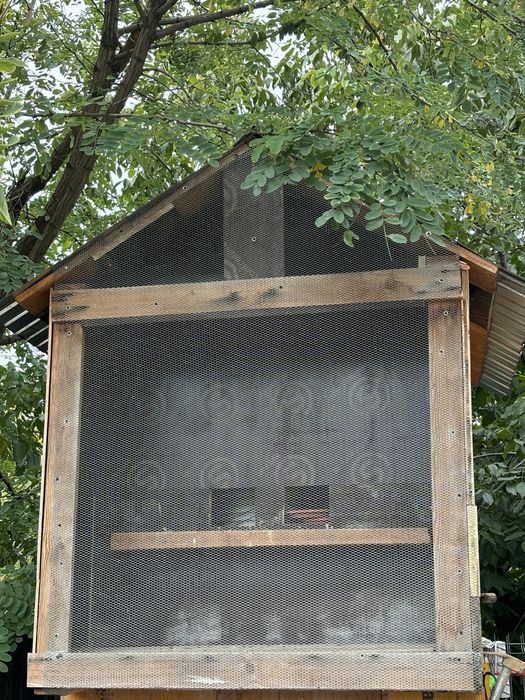Voliera din lemn, acoperis tabla-ideala pentru porumbei