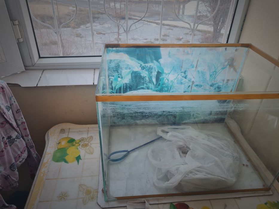 Продам аквариум.