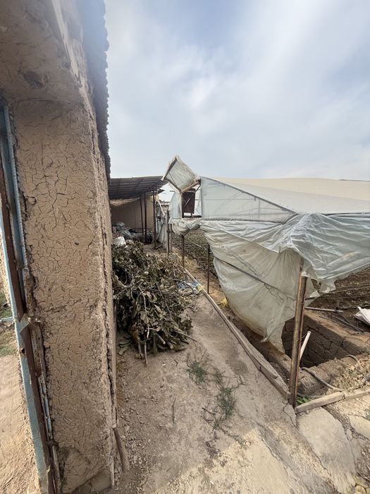 Yer sotiladi 8 sotix Zangiota