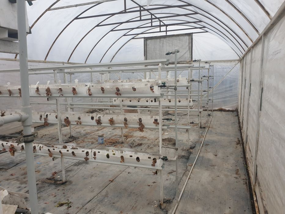 Теплица в сборе с всеми наворотами