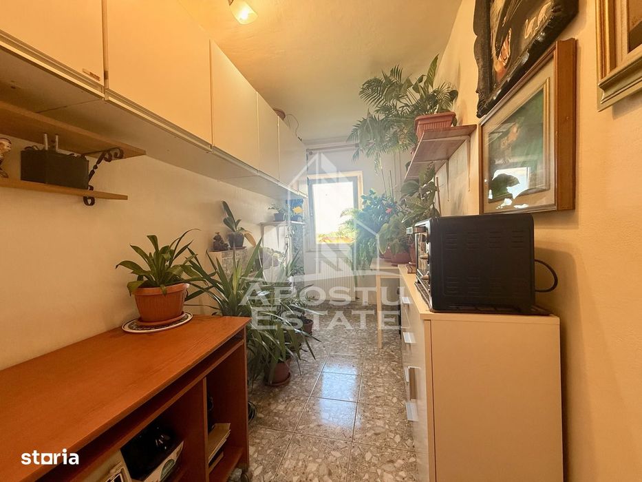 Apartament 1 camera de vanzare, zona Lunei, Timisoara