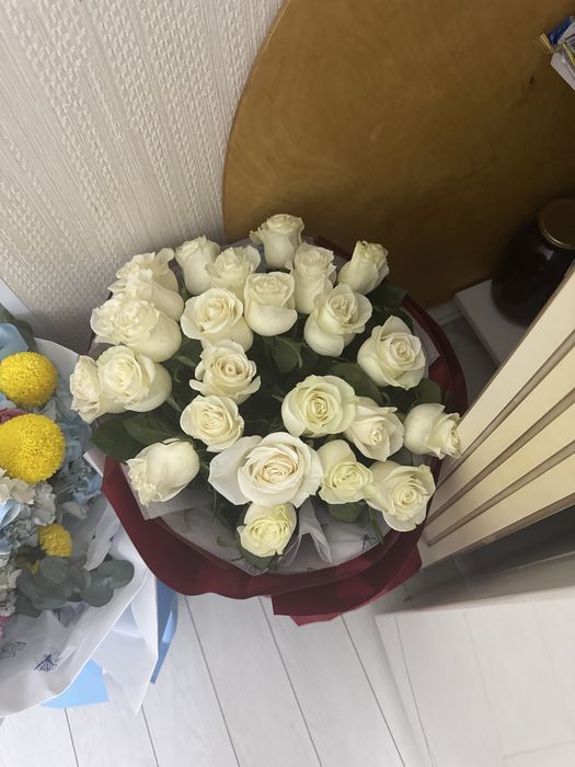 Продам разные цветы