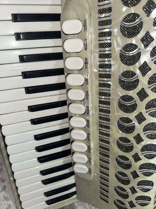 Acordeon Hohner Champion