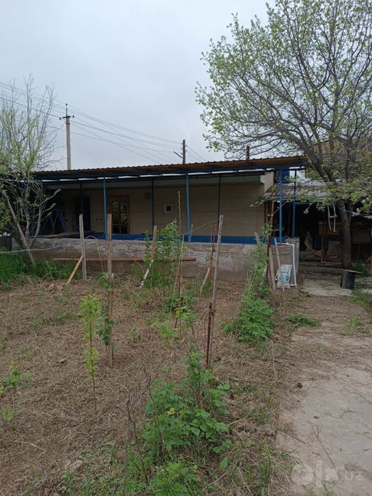 dacha krasnagorskda