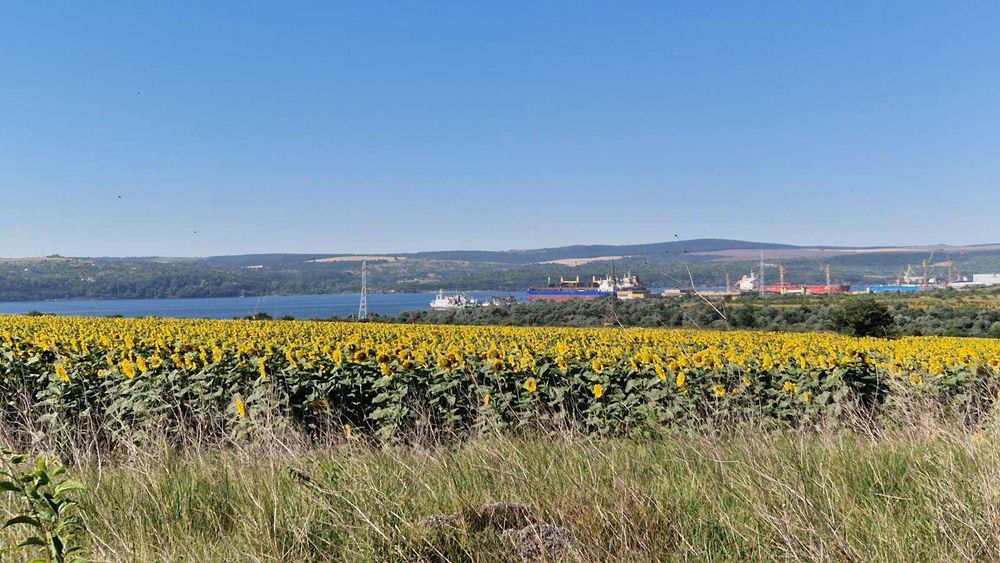 Парцел до регулация