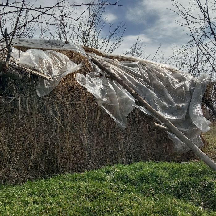 Пчан бор 2 тележка чикади