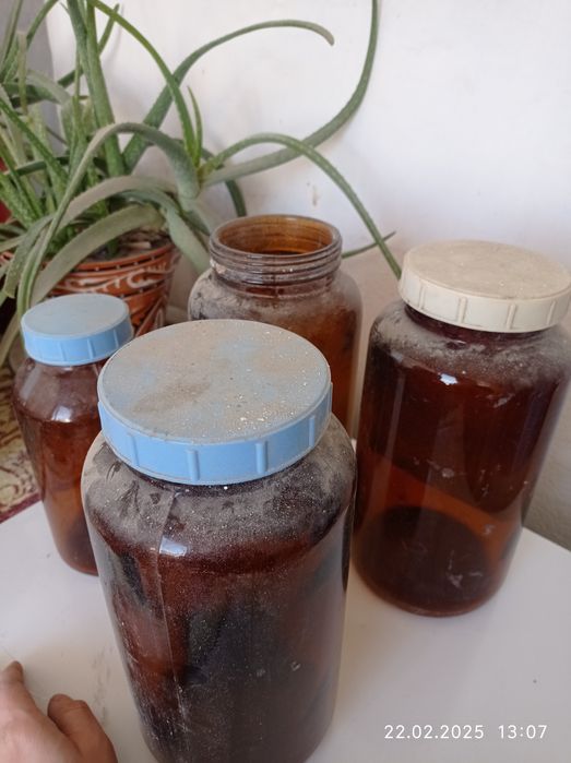 Советские баанки целые 1 большая 15ооо сом маленькая за 8000 отдам