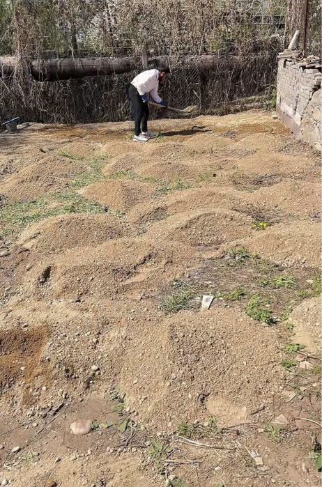 Брусчатка  Алматы  Гарантия без посредников