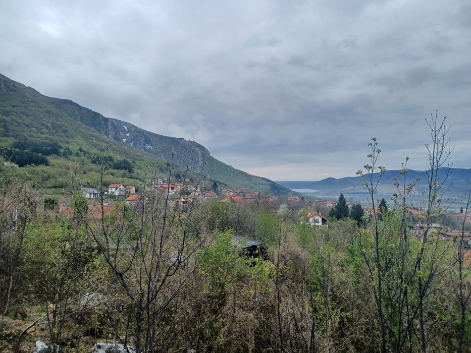 Продава се Парцел в с. Паволче, Област Враца - 2365 кв.м за 20 €/кв.м - Снимка #5