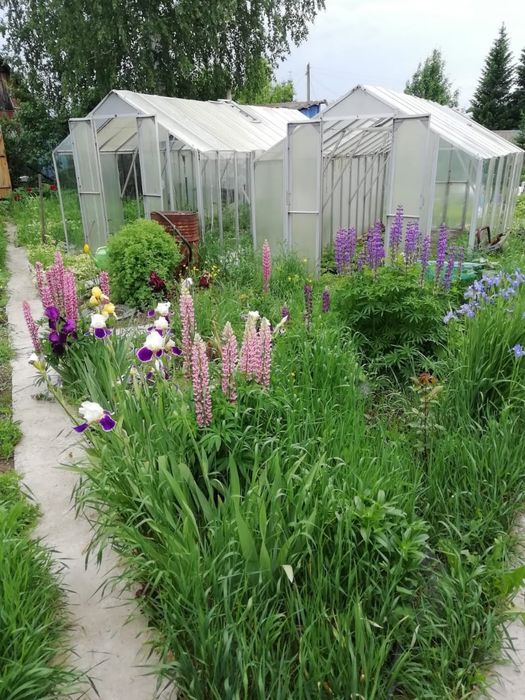 Продам дачу за с.Тарханка