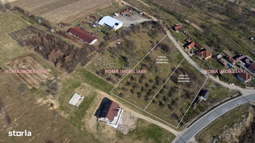 Teren intravilan Berchez 3700 mp+ 2950 mp Utilități 700€/ar NEGOCIABIL