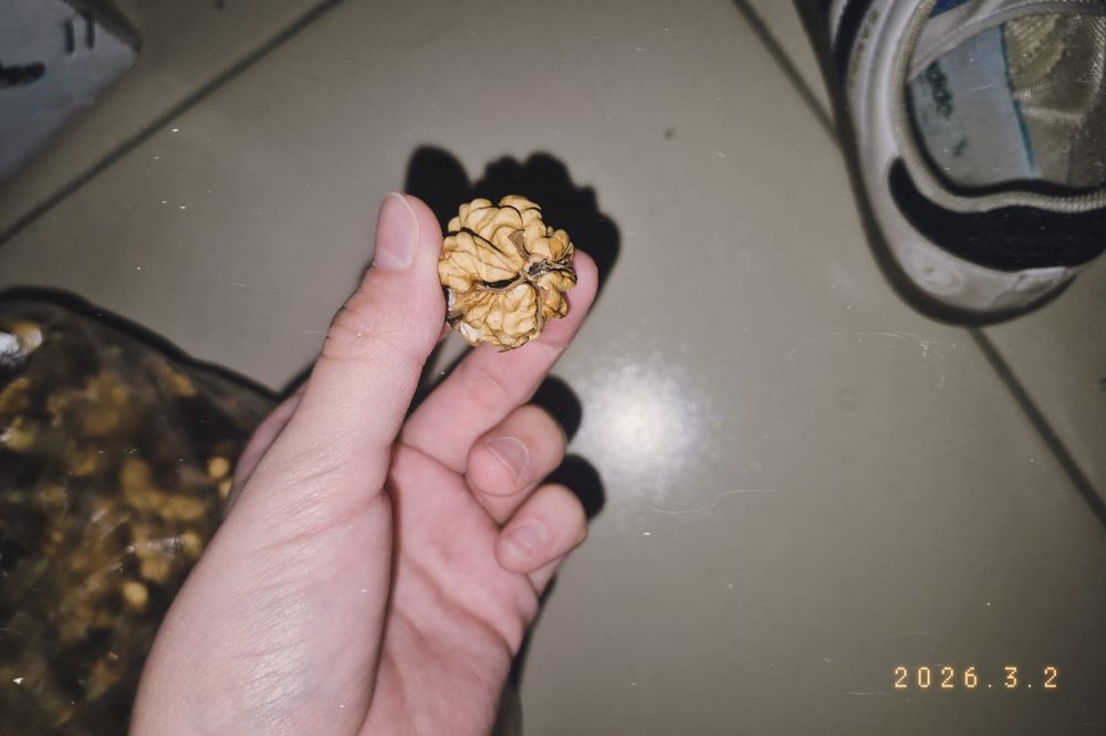 Орехи очищенные,  шағылған жаңғақ бар