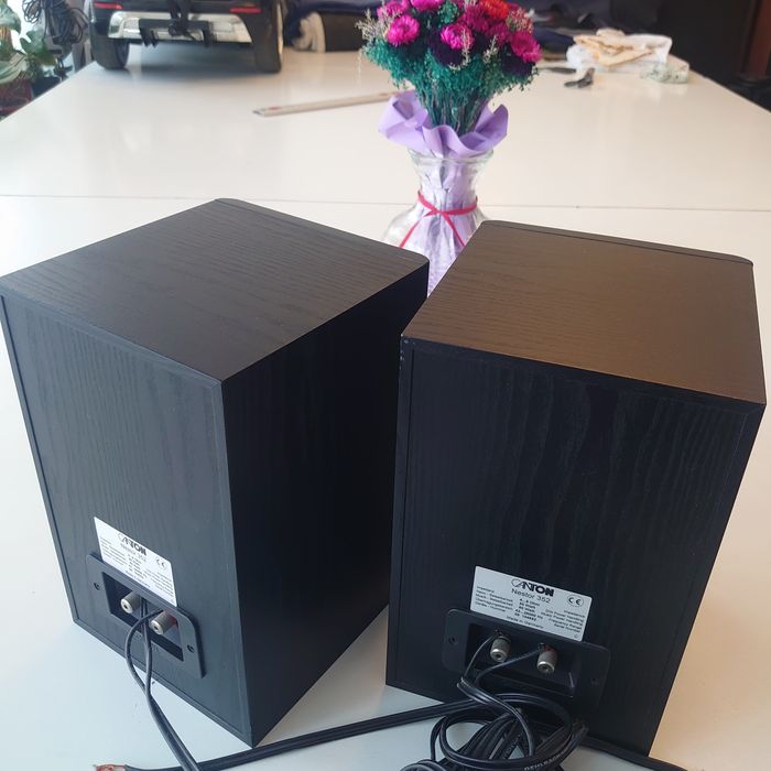 Boxe Canton  monitor