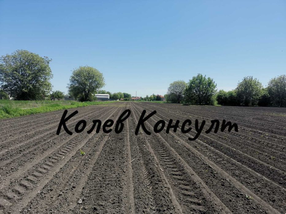 Продава се Парцел в с. Ягодово, Област Пловдив - 748 кв.м за 121 €/кв.м - Снимка #2