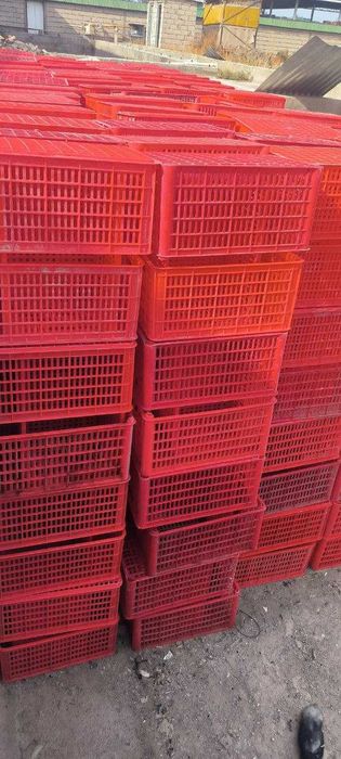 Ящик (мева ва сабзовотлар учун)