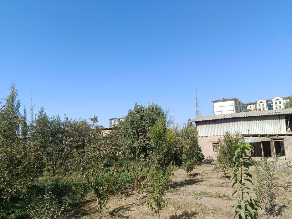 Nurafshon wahar markazida 6 sotik tortburcak yer