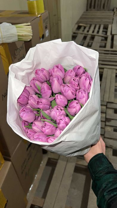 Тюльпаны оптом Костанай