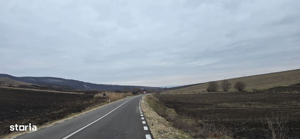 Teren 3700 mp sosea Telejna -Zapodeni