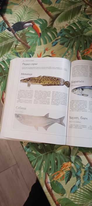 Българска риболовна енциклопедия