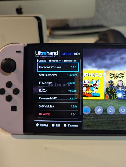 Nintendo Switch OLED Picofly