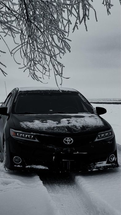 Фар 50лік камриге