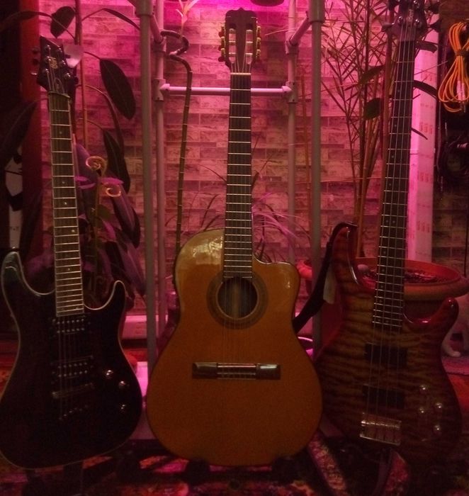 Обучение игре на гитаре а Алматы