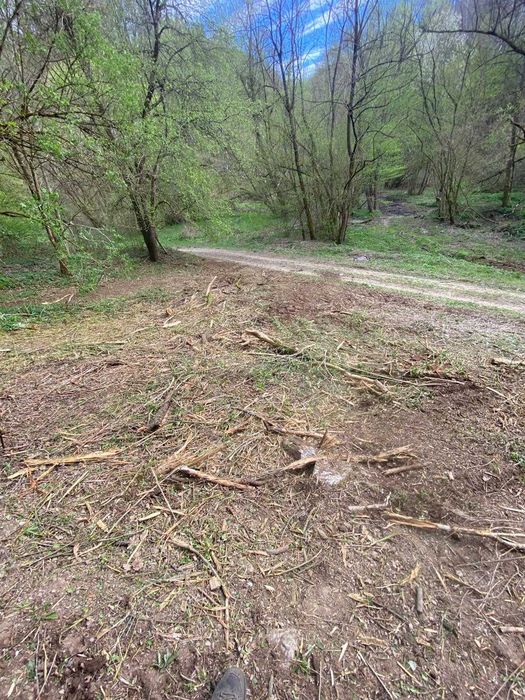 Pășune cu pădure 5.5 ha sat Dumbrăvița Com Barzava