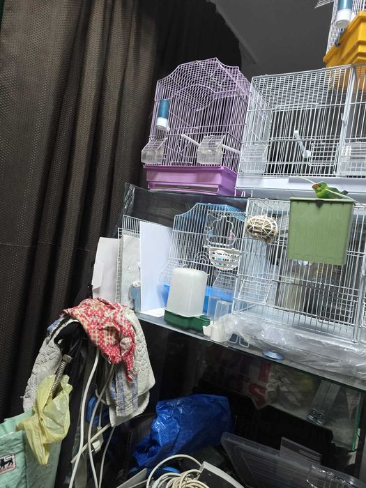 Colivii toate modelele noi si folosite