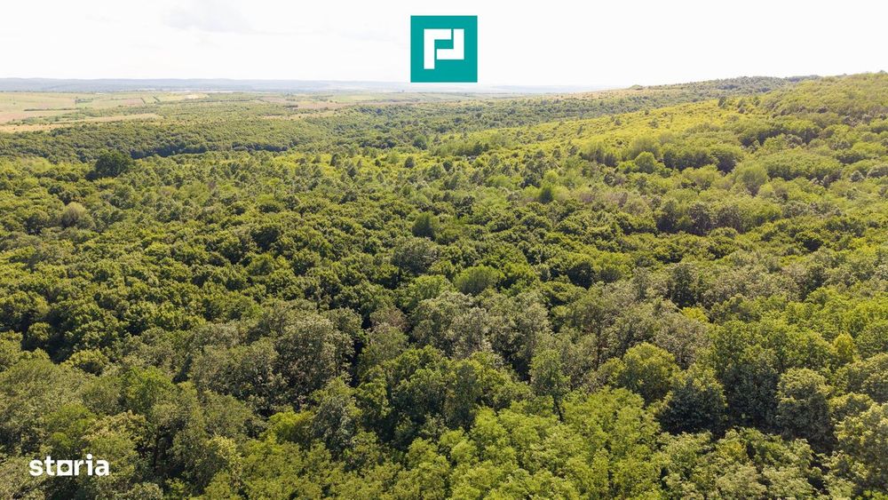 Teren Agricol Extravilan  22.900 Mp Lipova