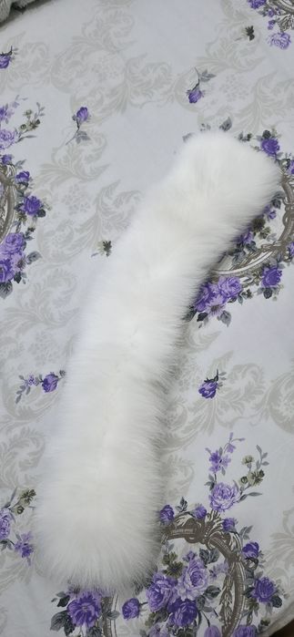 Guler de blana alba Vulpe polara etola