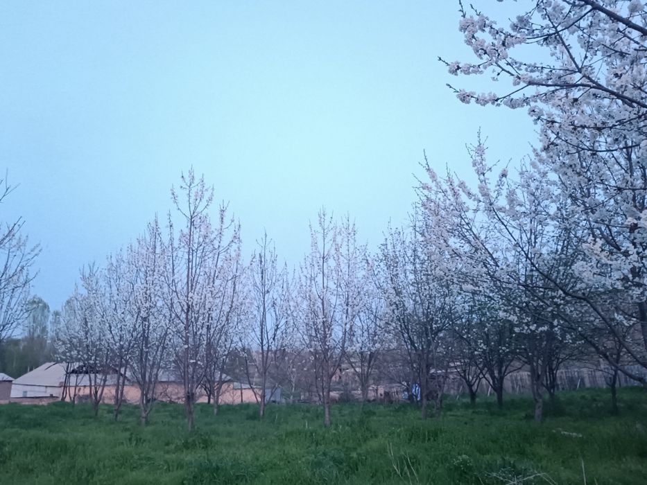 Yer sotiladi 30 so'tik